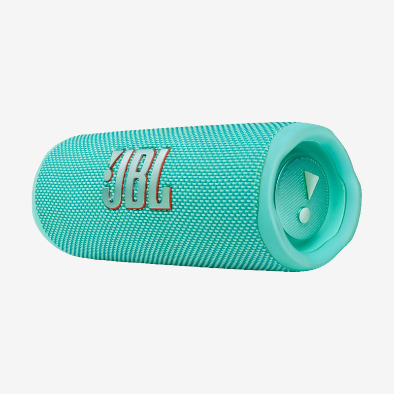 JBL Light Green Flip 6 Portable Bluetooth Speaker